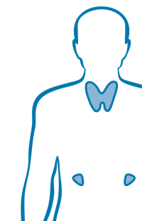 Endokrine Chirurgie